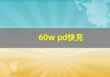 60w pd快充